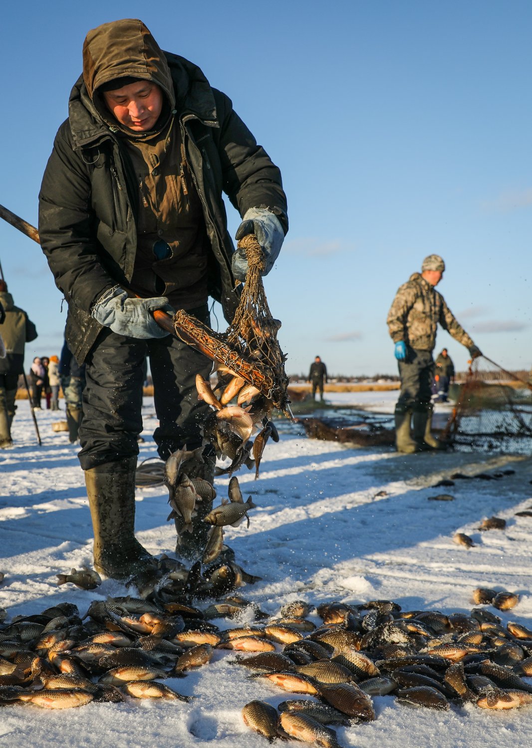 Зимний улов на традиционной якутской подледной рыбалке