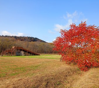 Дерево-пламя