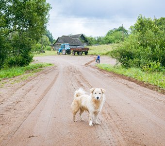 Ты заходи если что