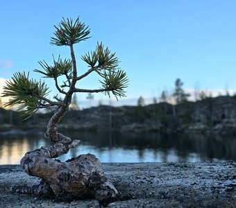 На шхерах Ладоги