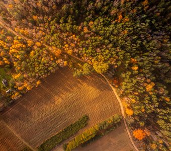 Экотропа в Петяярви, Лен Область