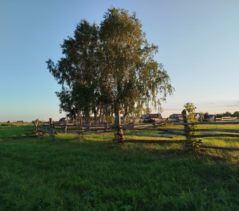 Лето в деревне