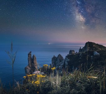 Приморский край. Мыс Лисученко