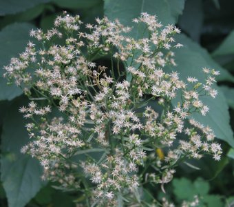 ВЕЧЕР В Г КУРГАНЕ