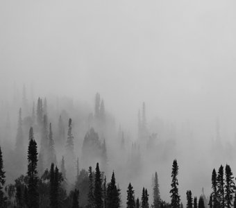 «Апокалипсис» 4