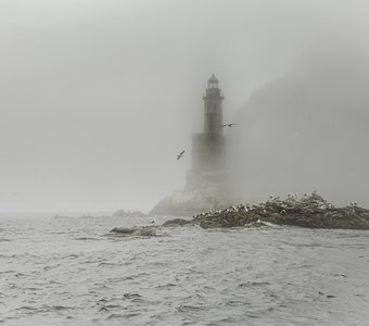 Анива, чайки, туман