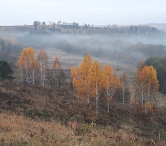 Туманное утро в октябре