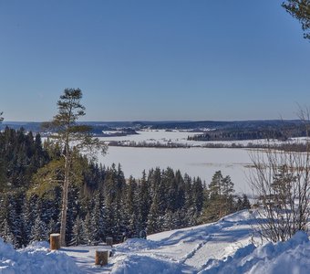 Зимние леса Карелии