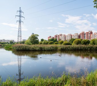 Гармония городской несуеты