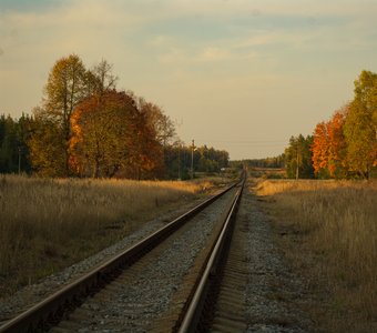 Золотоосенний путь