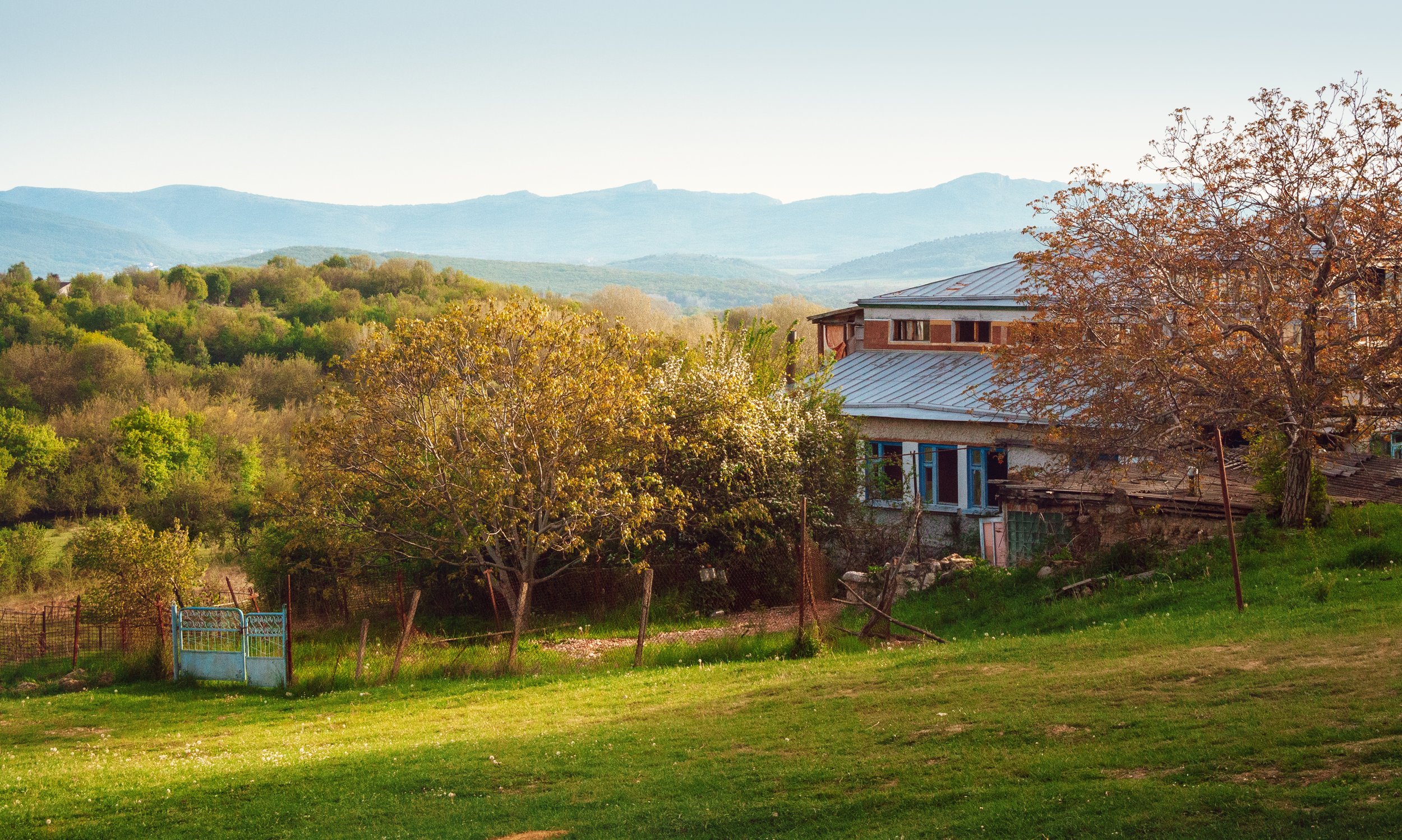 Весенний сад