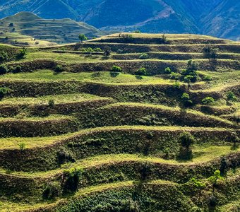 Чохские террасы