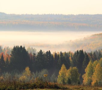 Осень на Вишере