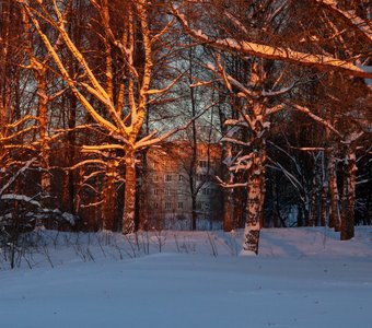 Зимнее солнце