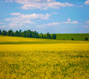 Безмятежность по-калужски