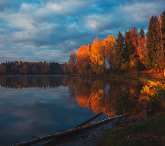 Вспышка осени