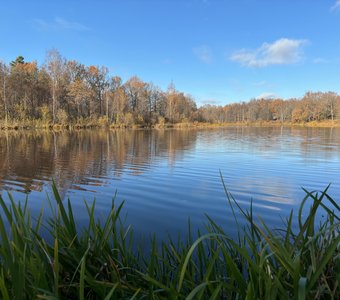 Краски осени