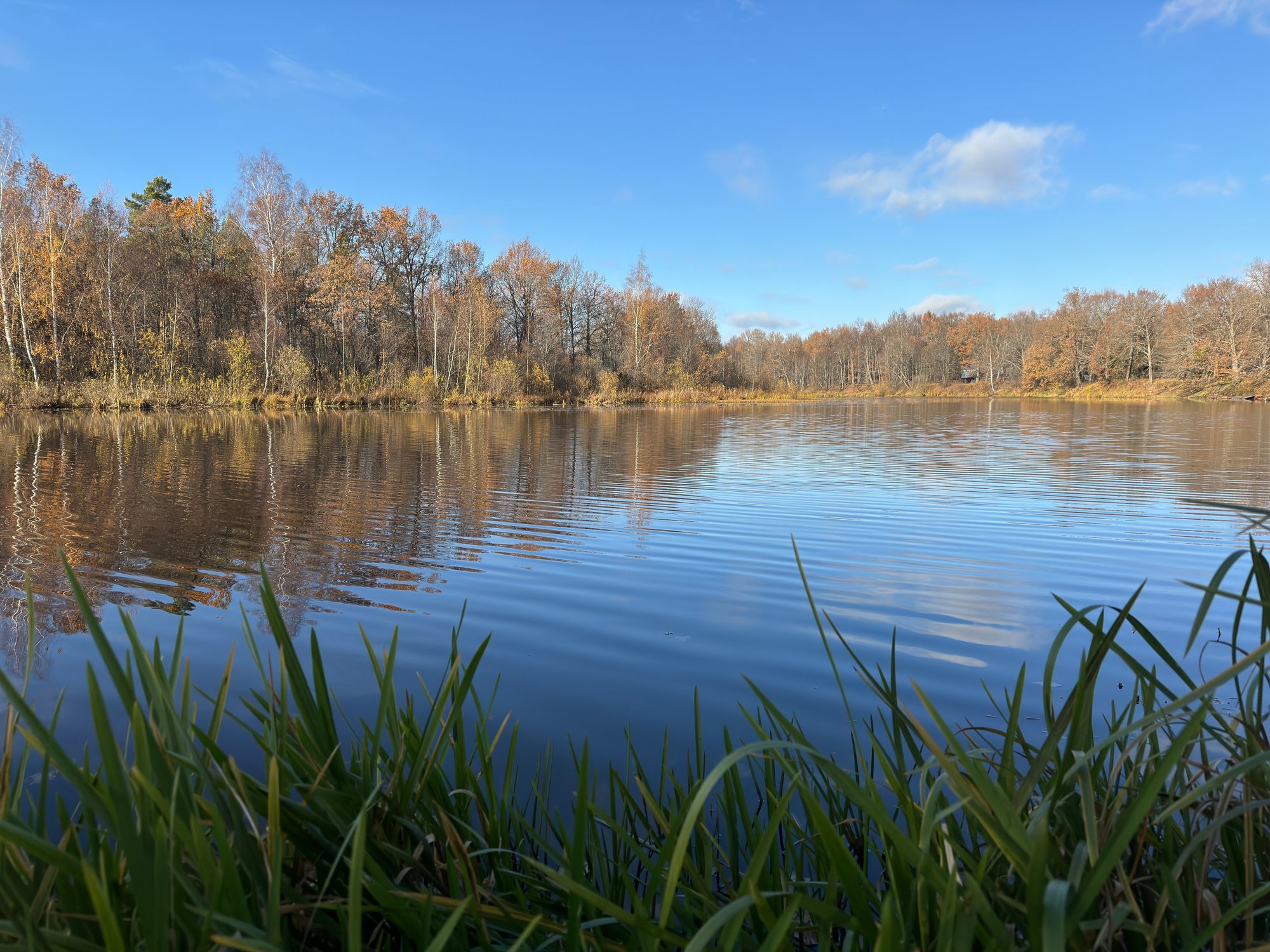 Краски осени