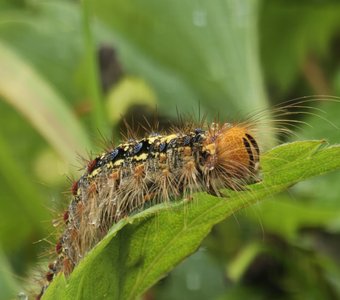 Послек дождя.