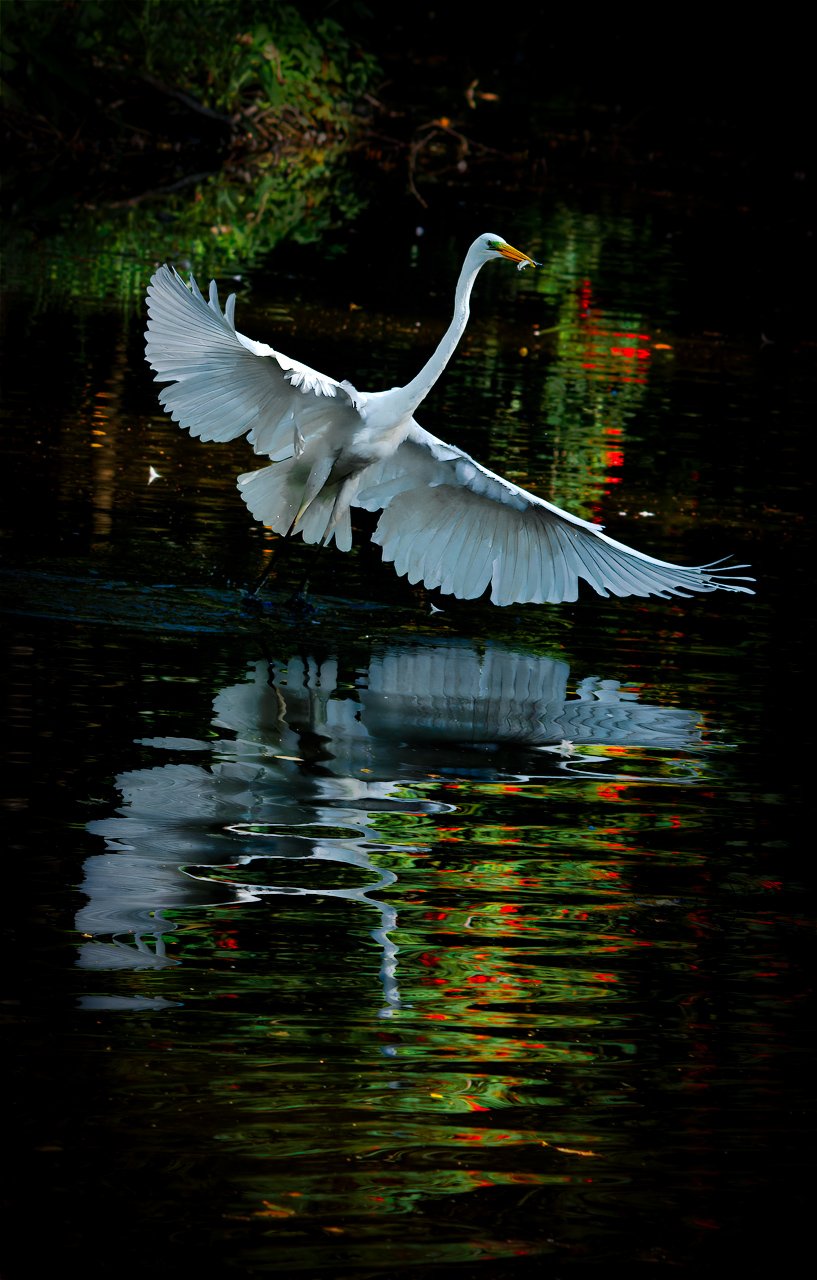 Полет в сказочных миражах