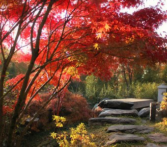 На рассвете