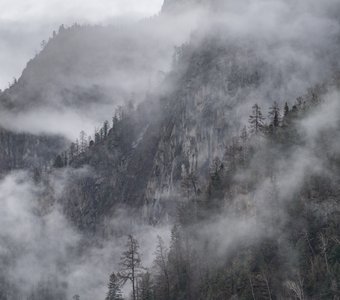 Весенние склоны Алтайских гор