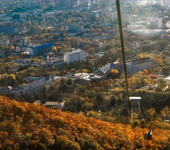 С высоты птичьего полёта