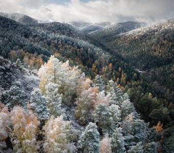 Первый снег в заповеднике Столбы