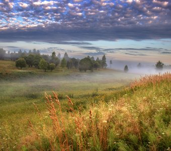 Утро туманное