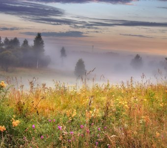 Утро в Калужской области