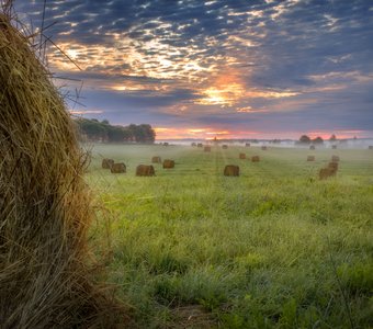 Утром в поле