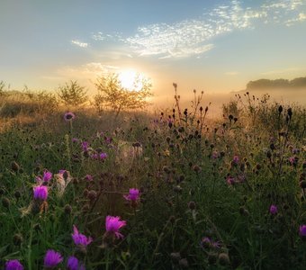 На рассвете