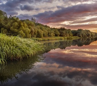 Встречаем Рассвет на Царицынских прудах