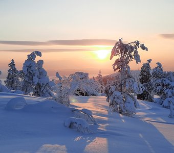 Причудливые формы