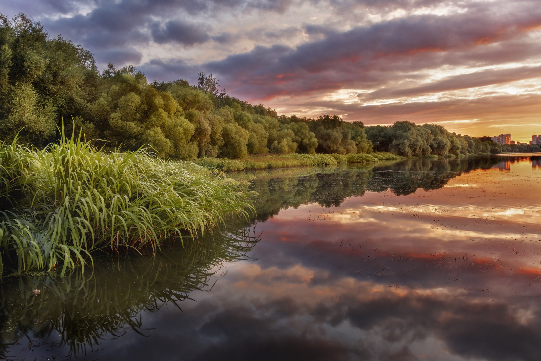 Рассвет на Верхнем Царицынском пруду