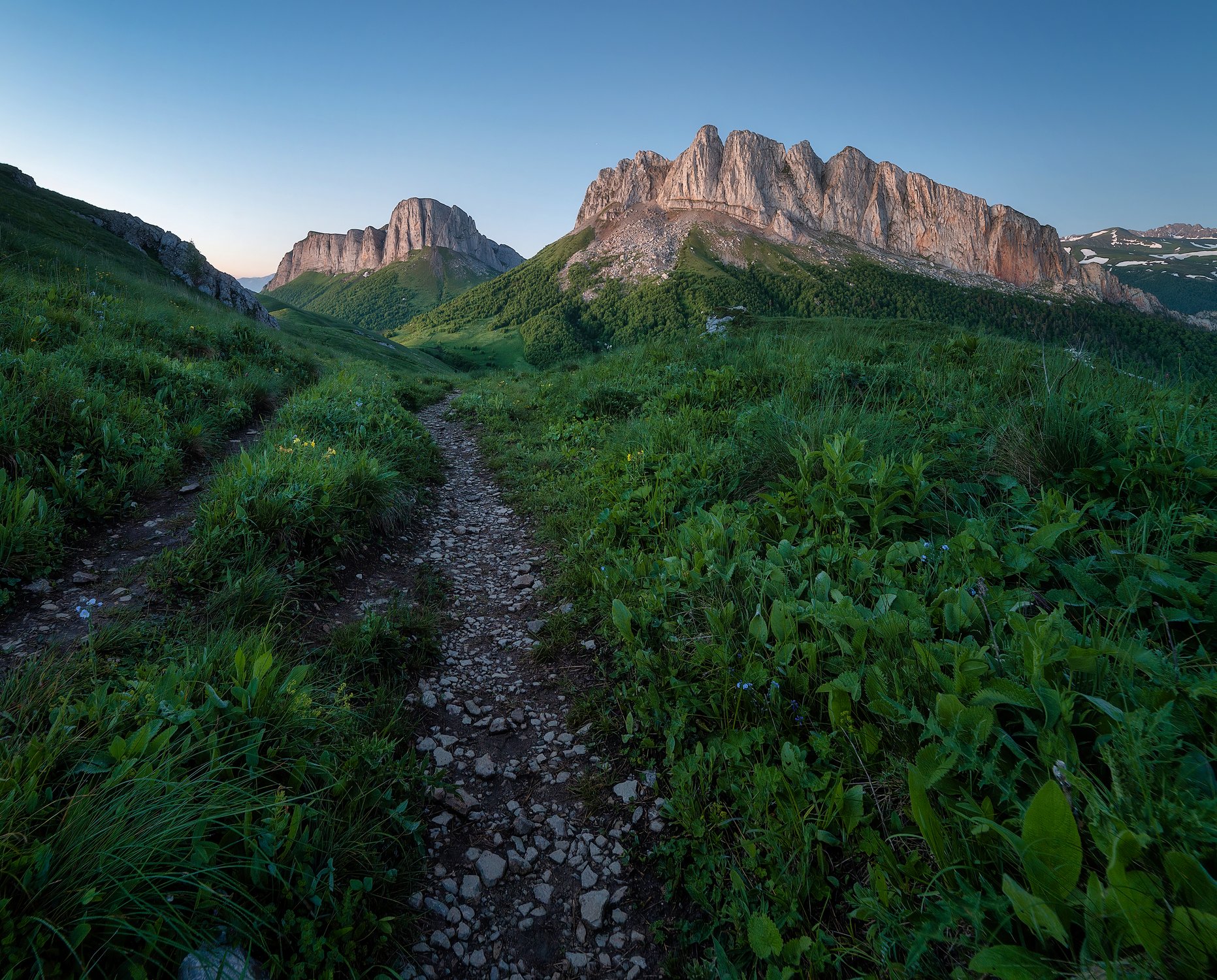 Направления, которые мы выбираем