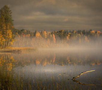 Золотая осень на Большом Кимозере
