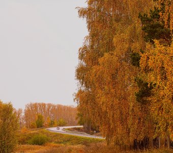 Сквозь осень