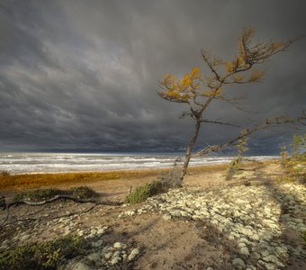 Осенний шторм на Лямицком берегу Белого моря