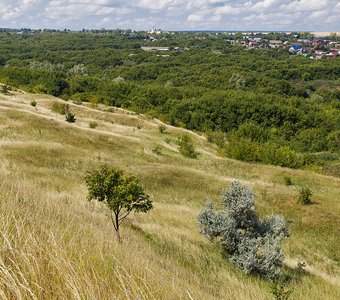 На исходе лета