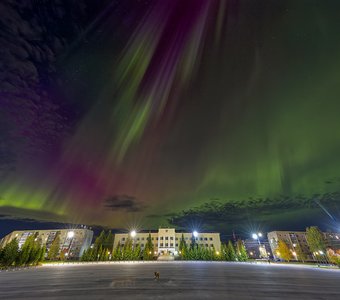 Северное сияние над городом Вуктыл. Республика Коми.