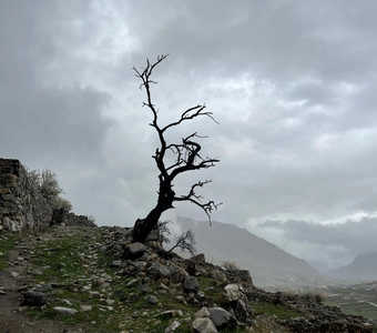 Мы входим в мир одинокими и одинокими покидаем его