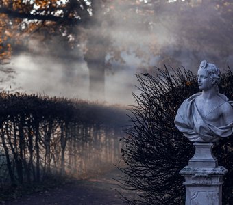 Вечер в Кусково