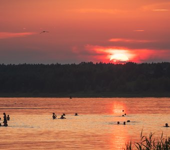 Вечернее купание