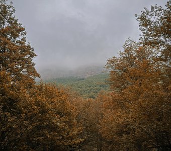 Осень в горах Мезмая