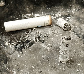 Одиночиство.