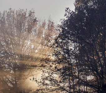 Вечер в Кусково