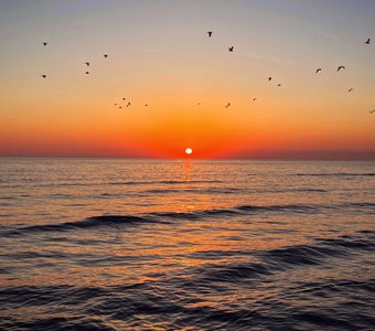 Однажды летом…