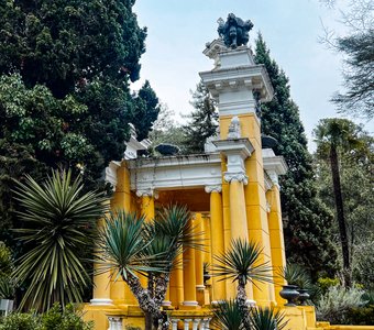 В сочинском дендрарии