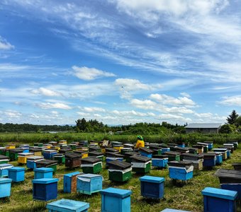 Наблюдение